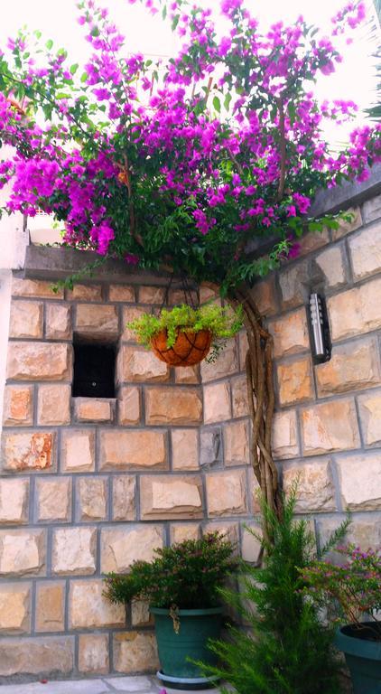 Guest house Klaris 4*